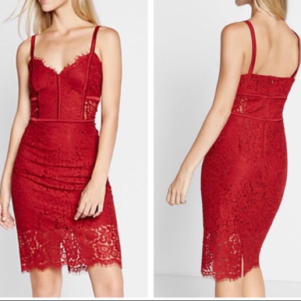 Express piped lace sheath dress
